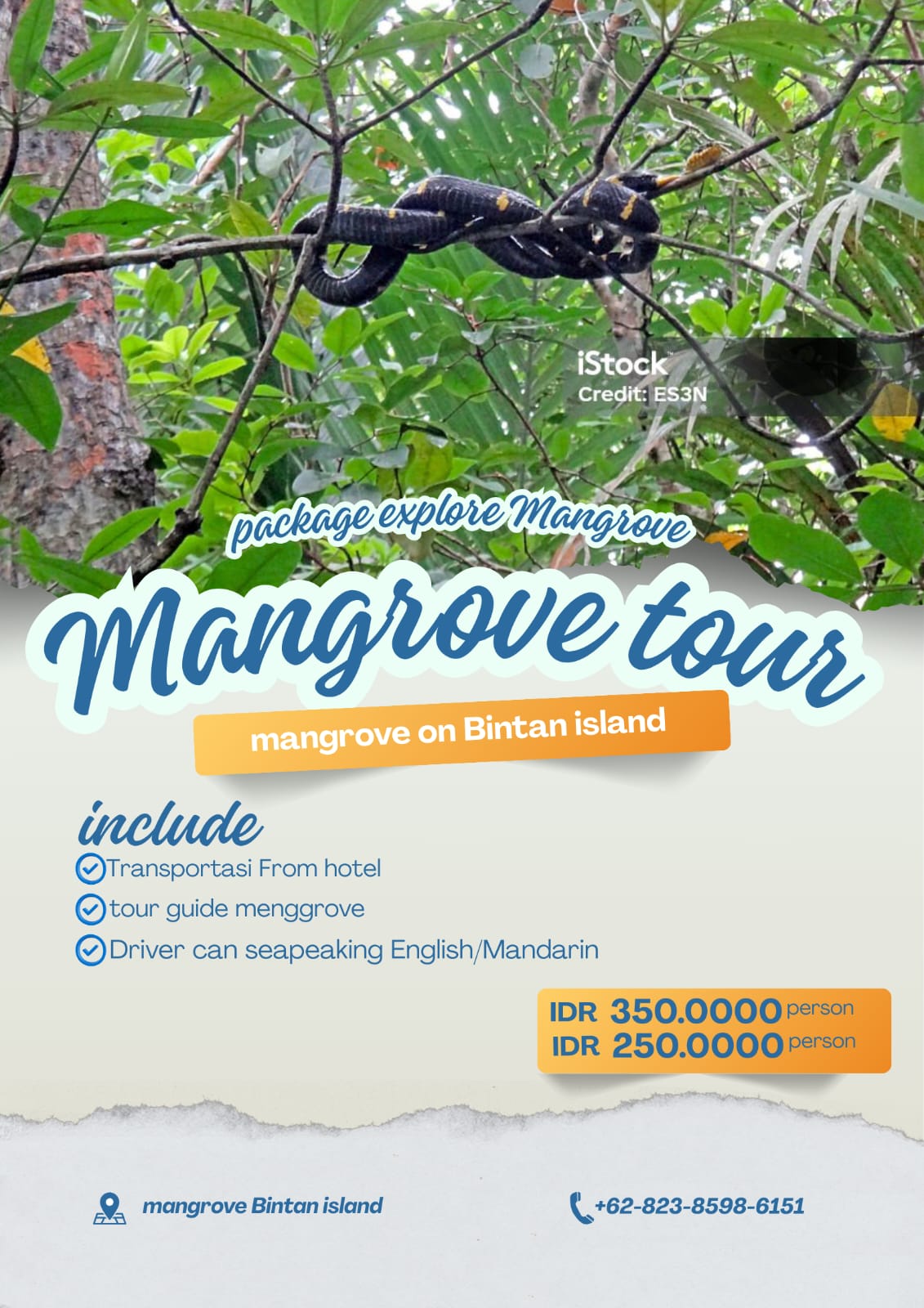 Image PACKAGE MANGROVE TOUR |OPEN BOOKINGS TODAY&TOMORROW |OPEN BOOKINGS 1-31 May