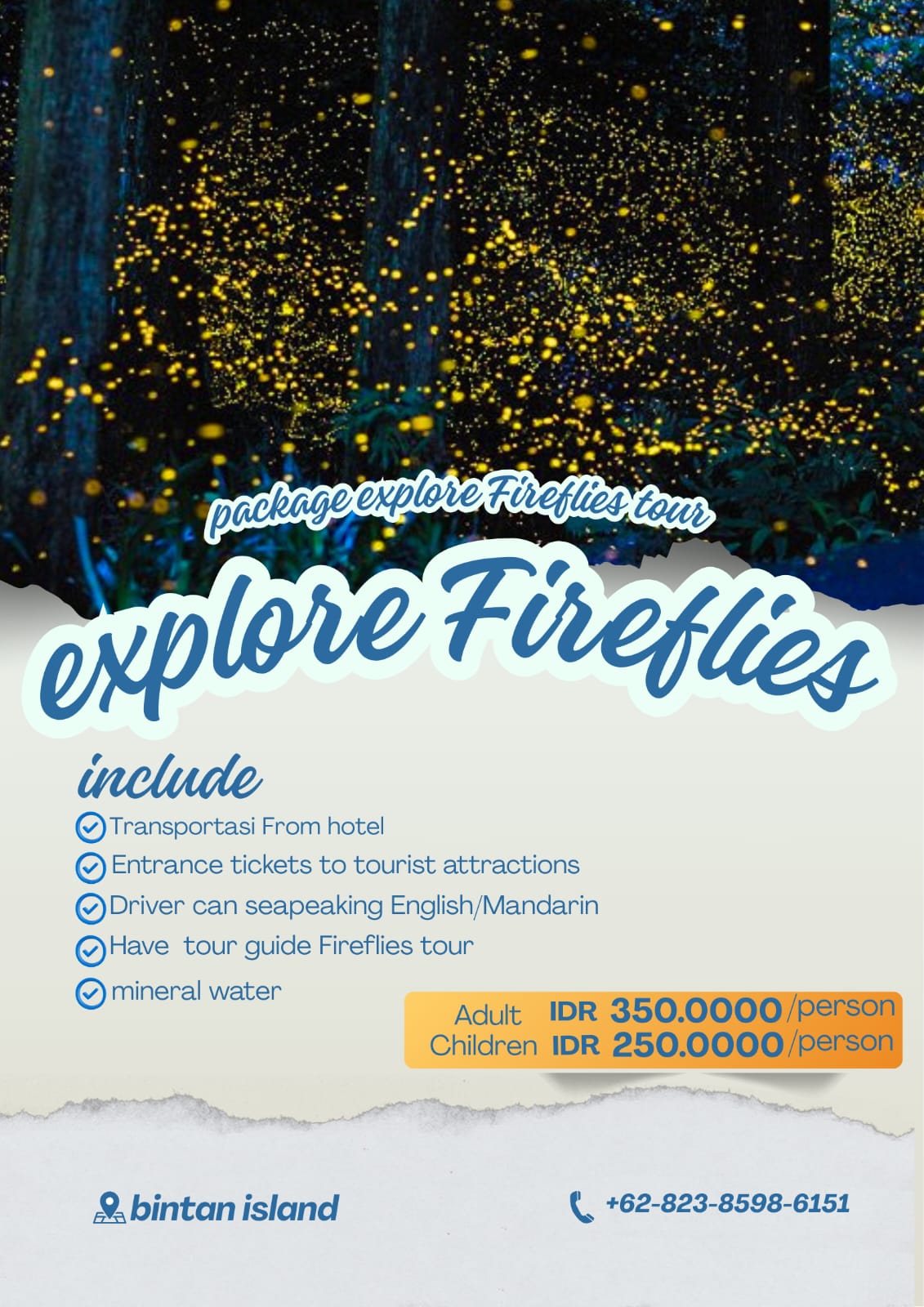Image FIREFLIES TOUR 